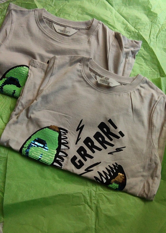 Erkek Çocuk Gri Baskılı Kısa Kollu Tişört - Görsel 4