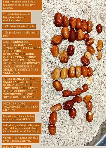Diğer Çekirdekli iğde tozu 