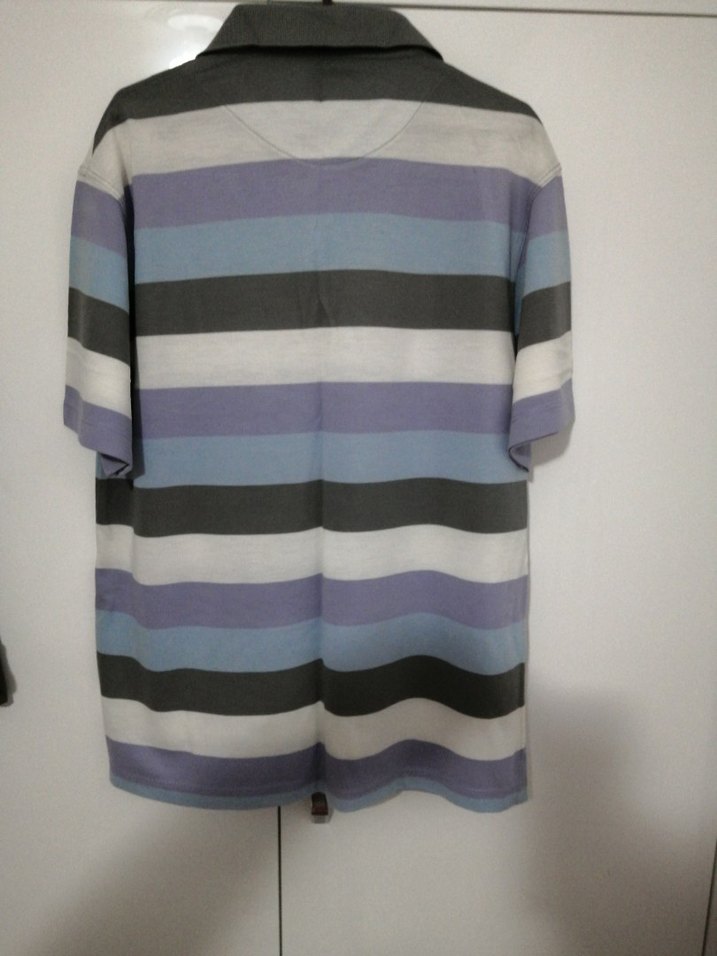 Düğmeli Gri Çizgili Erkek Polo Tişört - Görsel 2