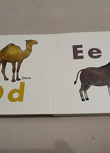 Şerif Hayvanlar Aleminde Alfabe Kitabı - Görsel 3