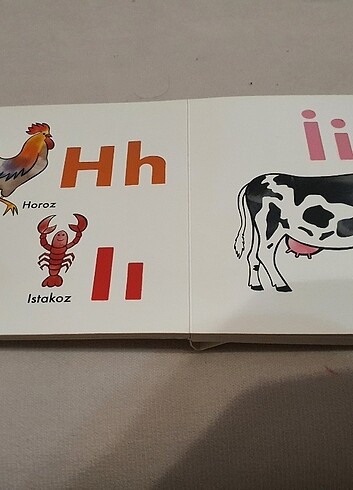 Şerif Hayvanlar Aleminde Alfabe Kitabı - Görsel 4