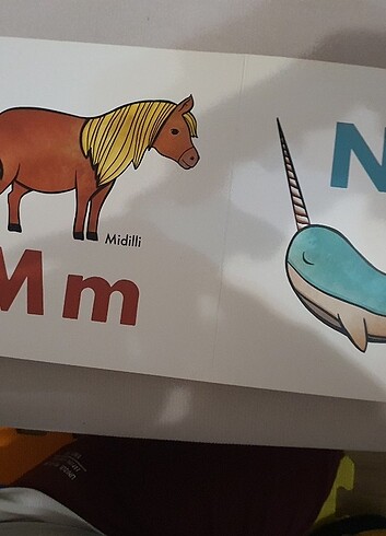 Şerif Hayvanlar Aleminde Alfabe Kitabı - Görsel 5