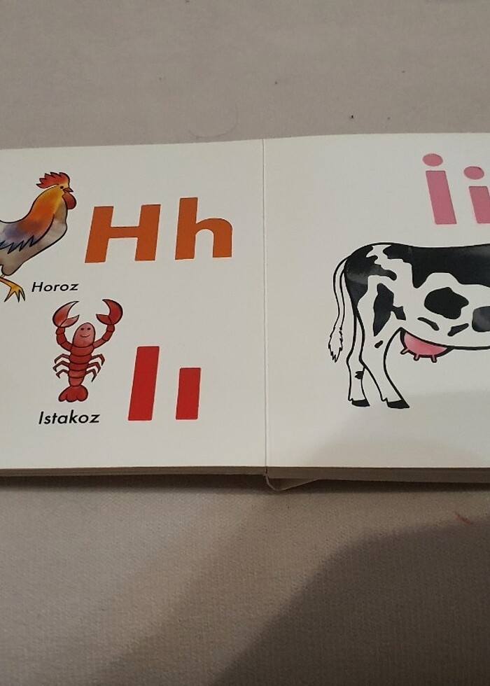 Şerif Hayvanlar Aleminde Alfabe Kitabı - Görsel 4