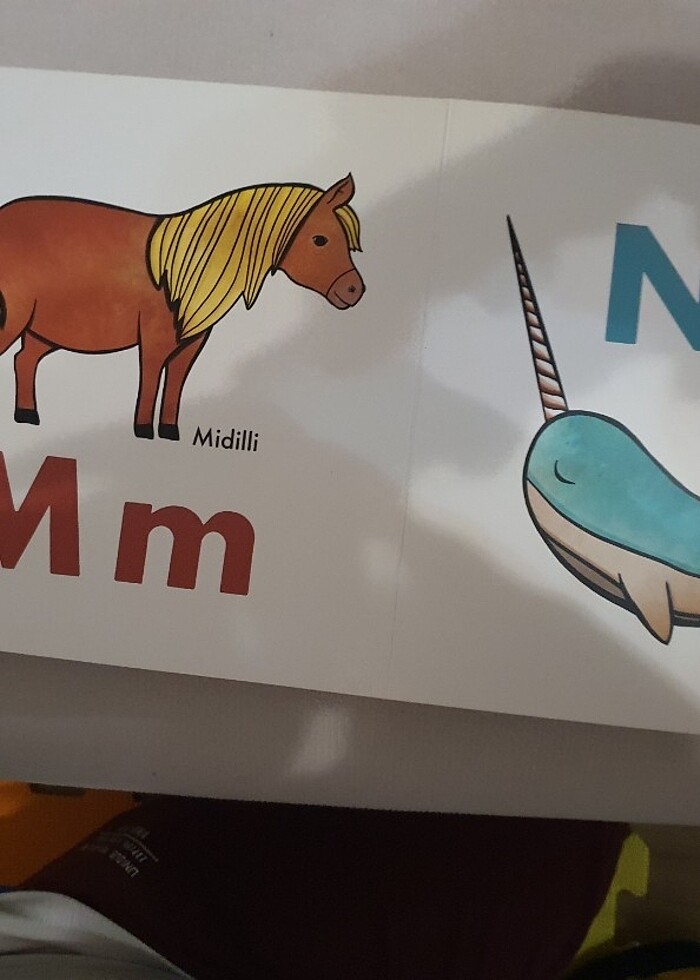 Şerif Hayvanlar Aleminde Alfabe Kitabı - Görsel 5