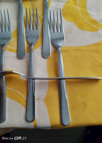 Gri Kaşık ve Çatal Seti Sarı Kumaş Üzerinde ürün 18_10 çelikten - Görsel 3