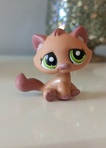Kedi ???? Miniş