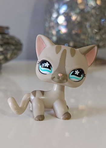 Kedi miniş