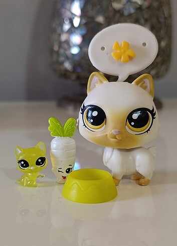 Kedi minişler ve aksesuarları 