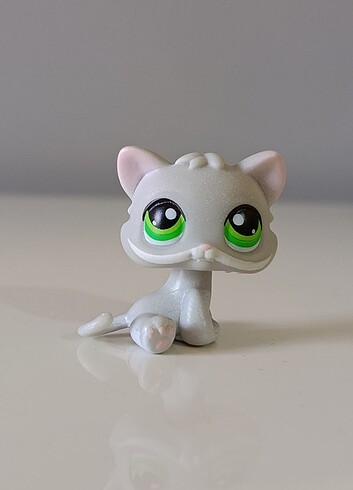 Kedi miniş