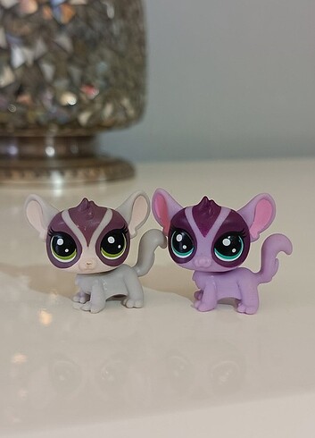 Swich koala minişler 