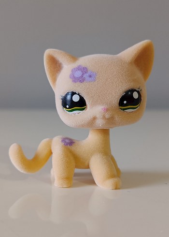 kadife dokulu kedi miniş
