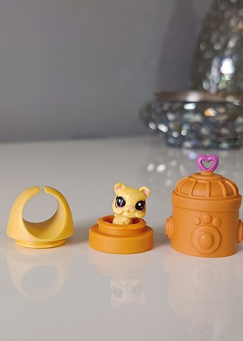 köpek miniş ve yuvası