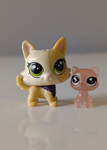 Beden kedi Minişler
