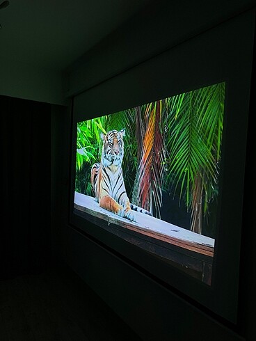 Projeksiyon - Görsel 6