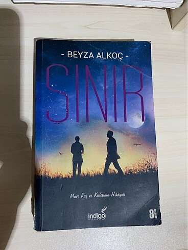 sinir beyza alkoc
