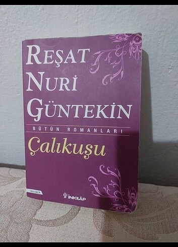 ÇALIKUŞU ROMANI