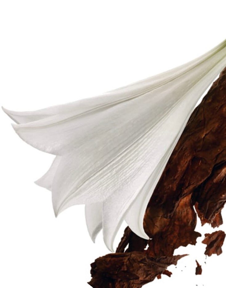 Yves Saint Laurent Mon Paris EDP 90 ML (Ön Sipariş) - Görsel 3