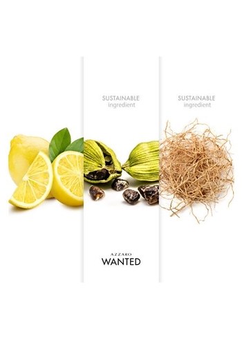 Azzaro Wanted EDT Erkek Parfümü 100 ml( Ön sipariş) - Görsel 4