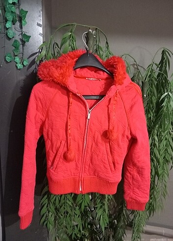 POLAR CEKET(XS)