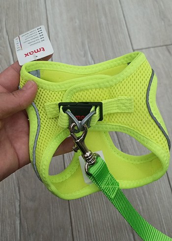 Beden reflektörlü Yeşil Köpek Göğüs Tasması ve Tasma ipi