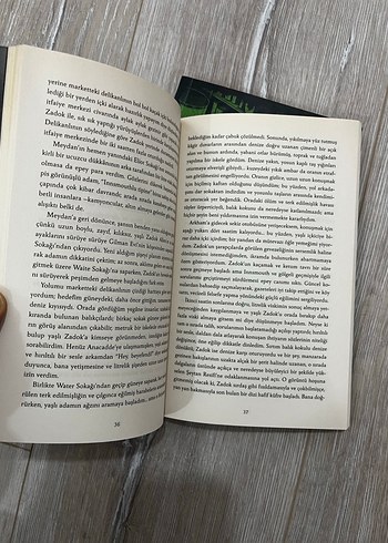 Lovecraft Karanlıkta Fısıldayan İnnsmouth - Görsel 5