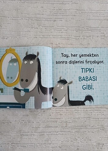  Beden Renk Tay Dişlerini Fırçalıyor