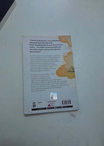 Canım Arkadaşım - Özgür Balpınar - Görsel 2