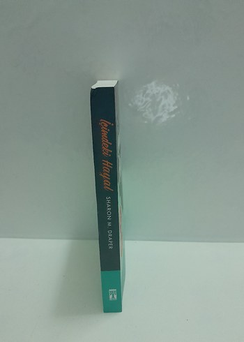 Beden Renk İçimdeki Hayal - Sharon M. Draper