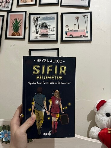 Beyza alkoç kitapları