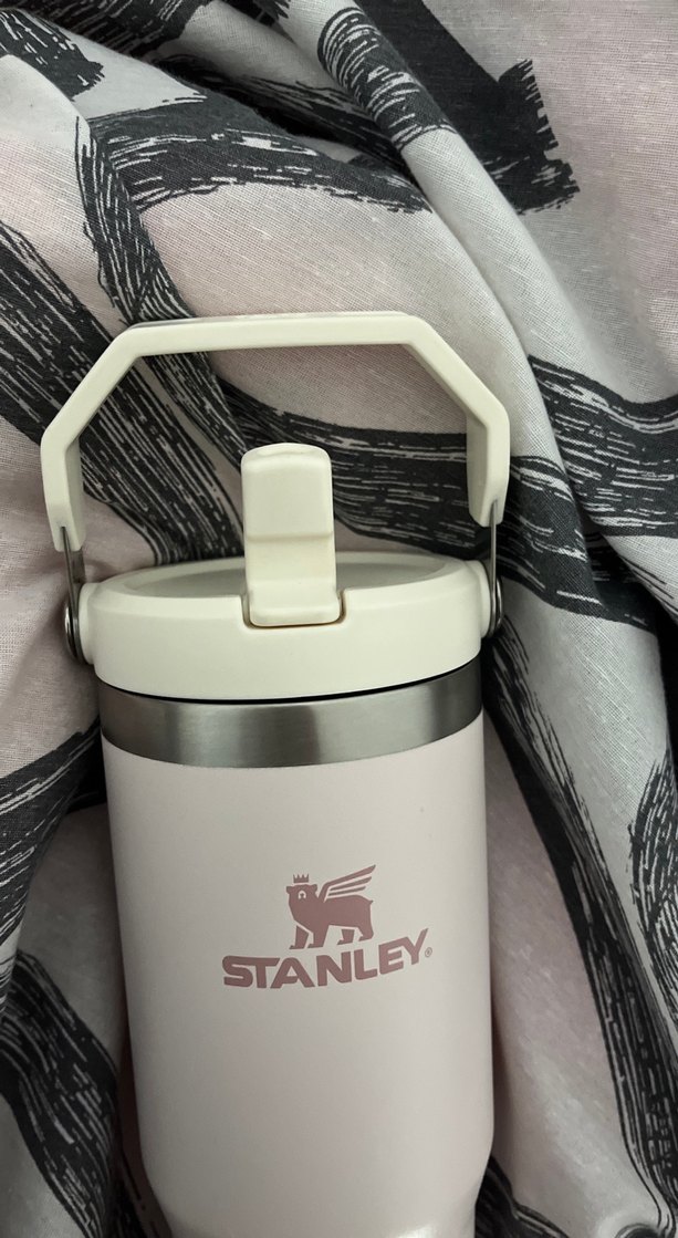Stanley  Termosu - Görsel 2