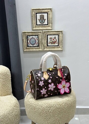  Beden çeşitli Renk Louis vuitton