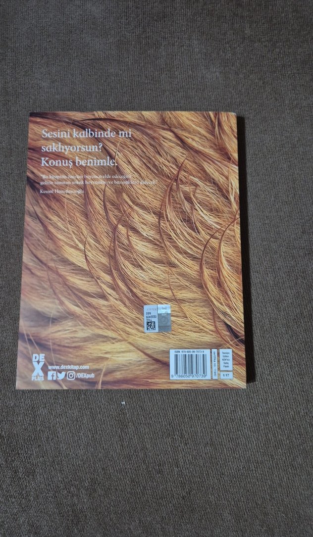 Baldan Karanlık - Kemal Hamamcıoğlu - Görsel 2