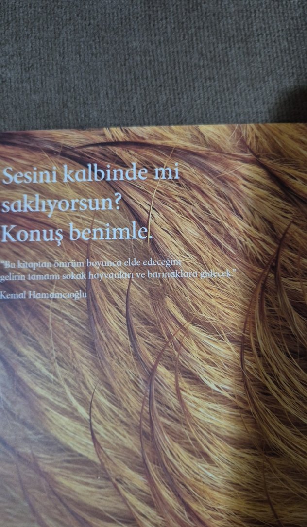 Baldan Karanlık - Kemal Hamamcıoğlu - Görsel 3