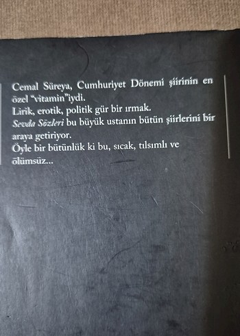 Cemal Süreya - Sevda Sözleri - Görsel 3