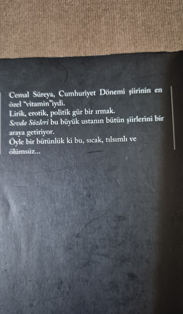 Cemal Süreya - Sevda Sözleri - Görsel 3