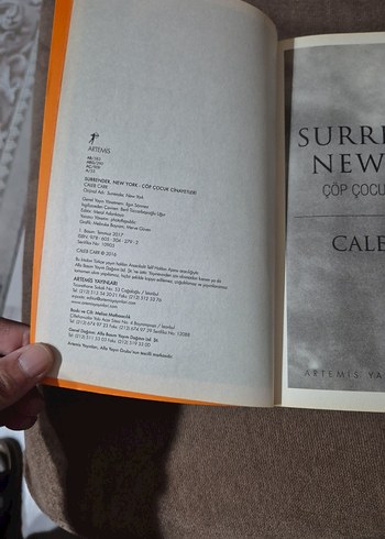 Surrender, New York - Çöp Çocuk Cinayetleri - Görsel 5