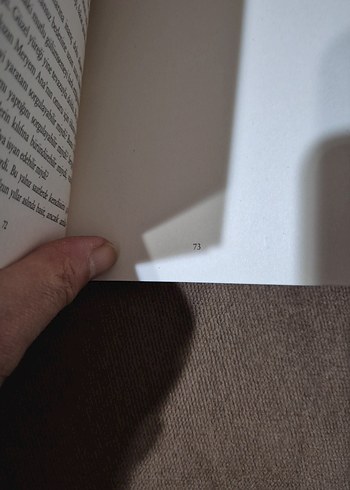 Stefan Zweig - Hayatın Mucizeleri Romanı - Görsel 6