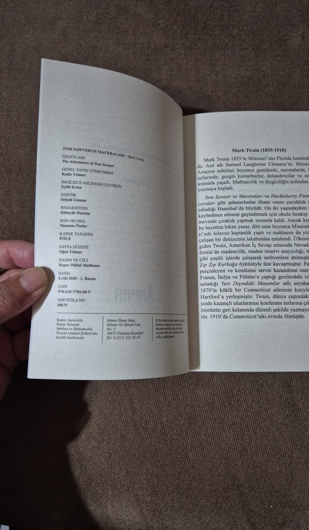 Tom Sawyer'ın Maceraları - Mark Twain - Görsel 5