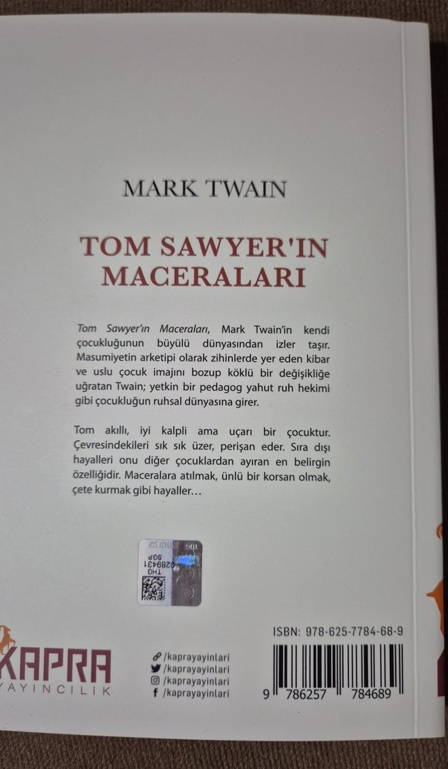 Tom Sawyer'ın Maceraları - Mark Twain - Görsel 3