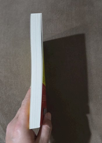 Çöl Çiçeği - Waris Dirie - Görsel 4