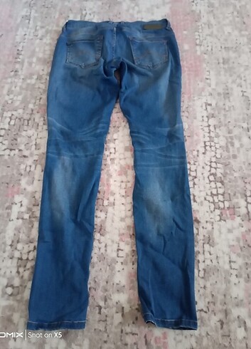 Kot Jean Paul