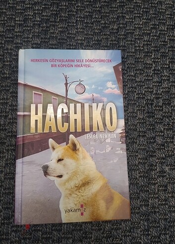hachiko ciltli