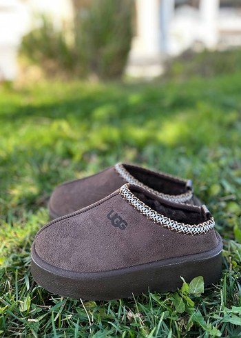 ugg 37
