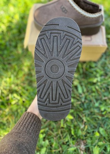 Ugg Tazz Slipper Terlik - Görsel 2