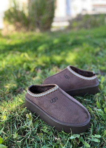 Ugg Tazz Slipper Terlik - Görsel 7