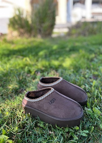 Ugg Tazz Slipper Terlik - Görsel 6
