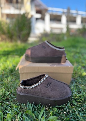Ugg Tazz Slipper Terlik - Görsel 4