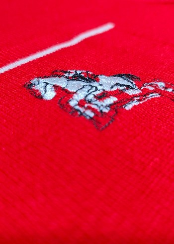 Erkek Kırmızı Kısa Kollu Triko Polo Tişört - Görsel 4