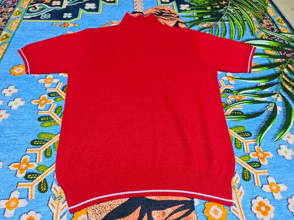 Erkek Kırmızı Kısa Kollu Triko Polo Tişört - Görsel 2