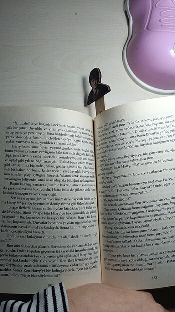  Beden Harry Potter ve sırlar odası 